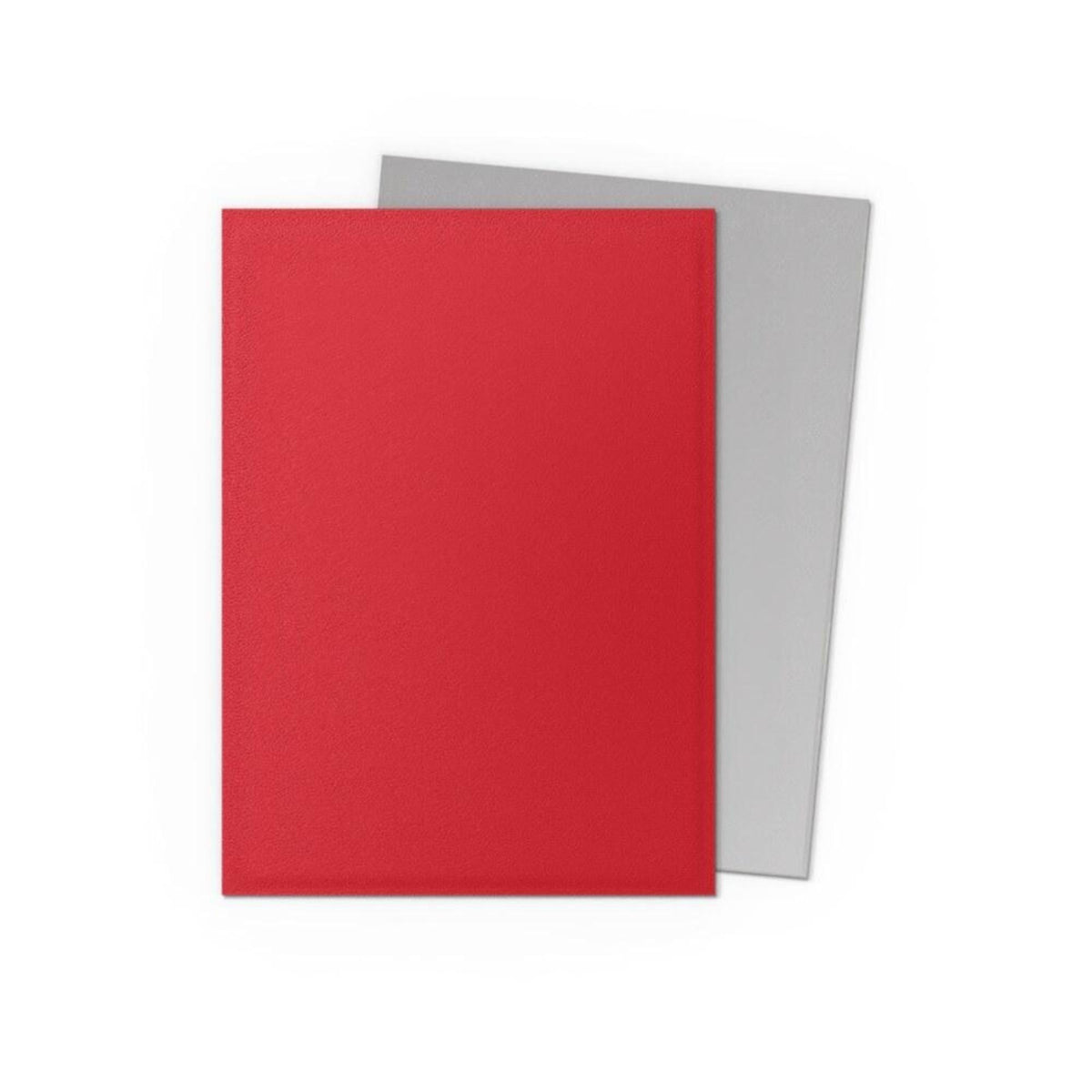 Dragon Shield - Standard Matte Dual Silver Sleeves (100 Sleeves)